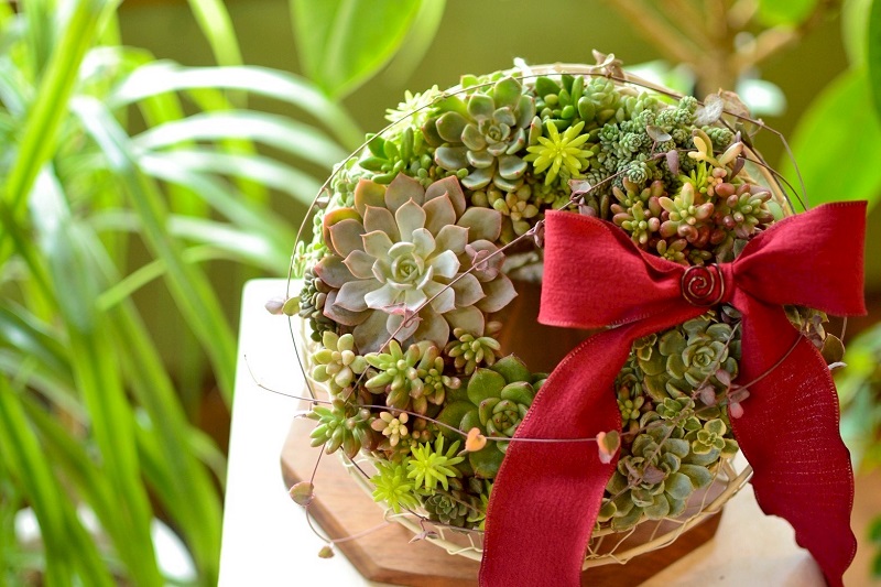 ���߂Ăł��y���߂�u���킢���������[�X�vby �v���g���[�t�y10:30�̉�z