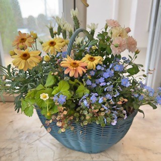 �t�F�̊񂹐A���Łg�X�v�����O�K�[�f���h����낤�I�y10:30�̉�z