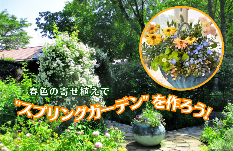 �t�F�̊񂹐A���Łg�X�v�����O�K�[�f���h����낤�I�y13:30�̉�z