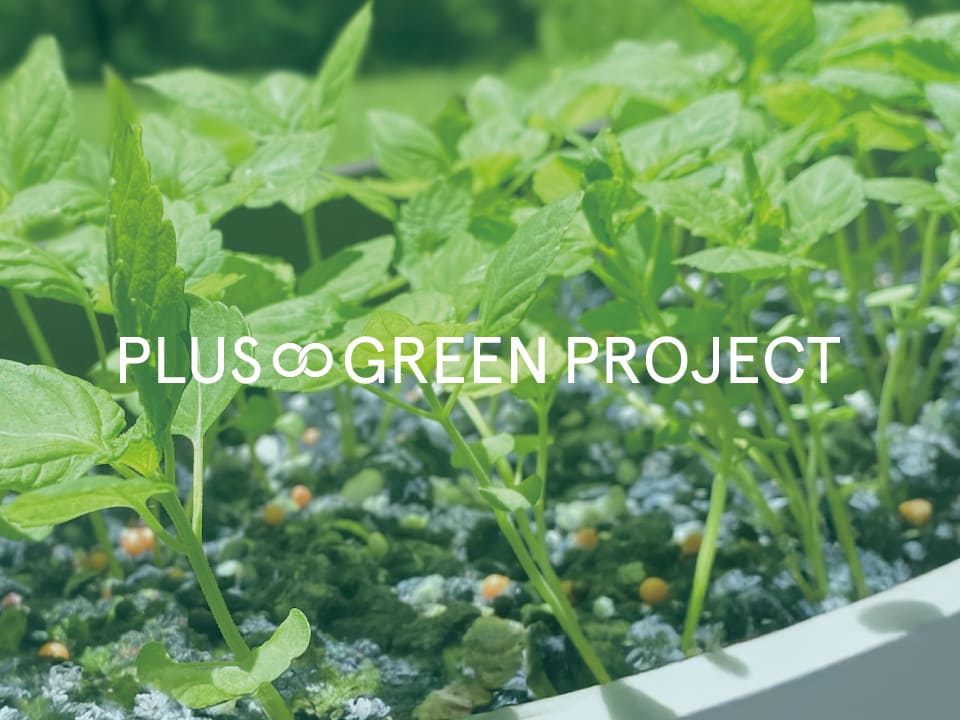PLUS��GREEN PROJECT